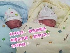 广东N先生喜获双胞胎男宝