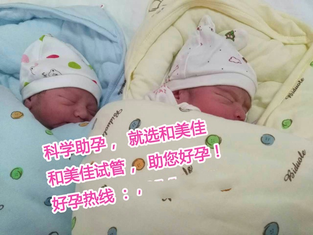 广州代妈